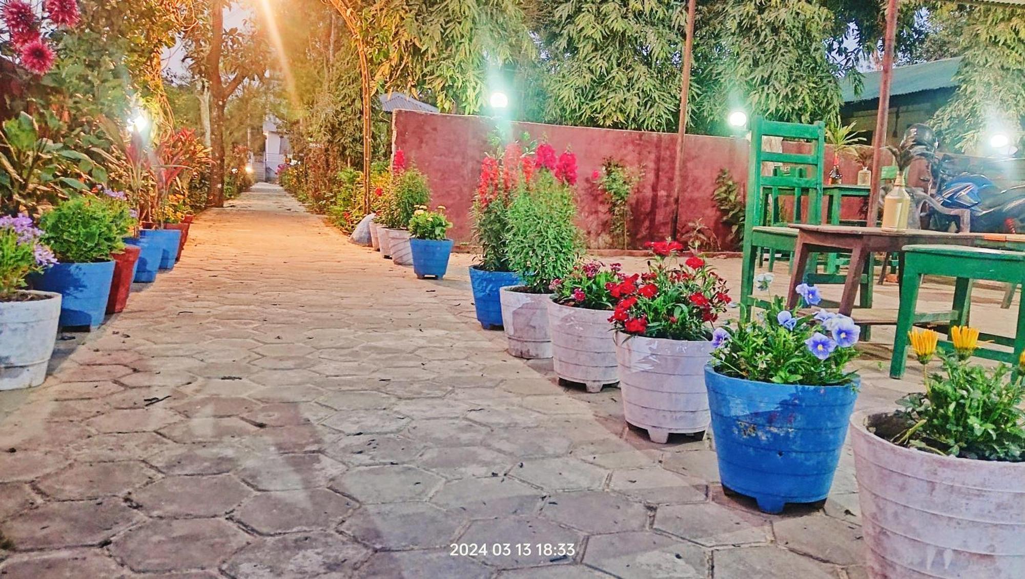 Hotel Butterfly - Peaceful Garden For Nature Lovers سوراها المظهر الخارجي الصورة