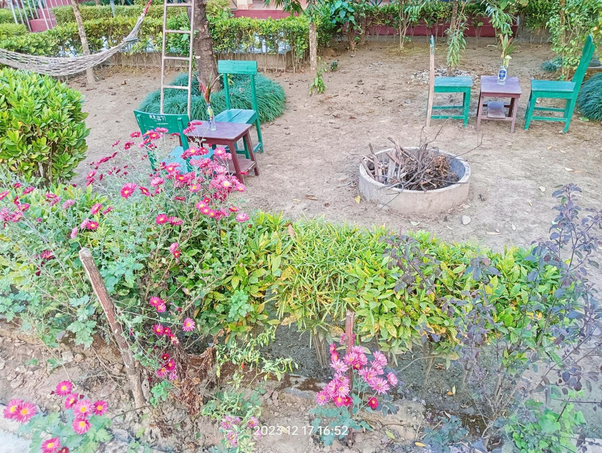 Hotel Butterfly - Peaceful Garden For Nature Lovers سوراها المظهر الخارجي الصورة