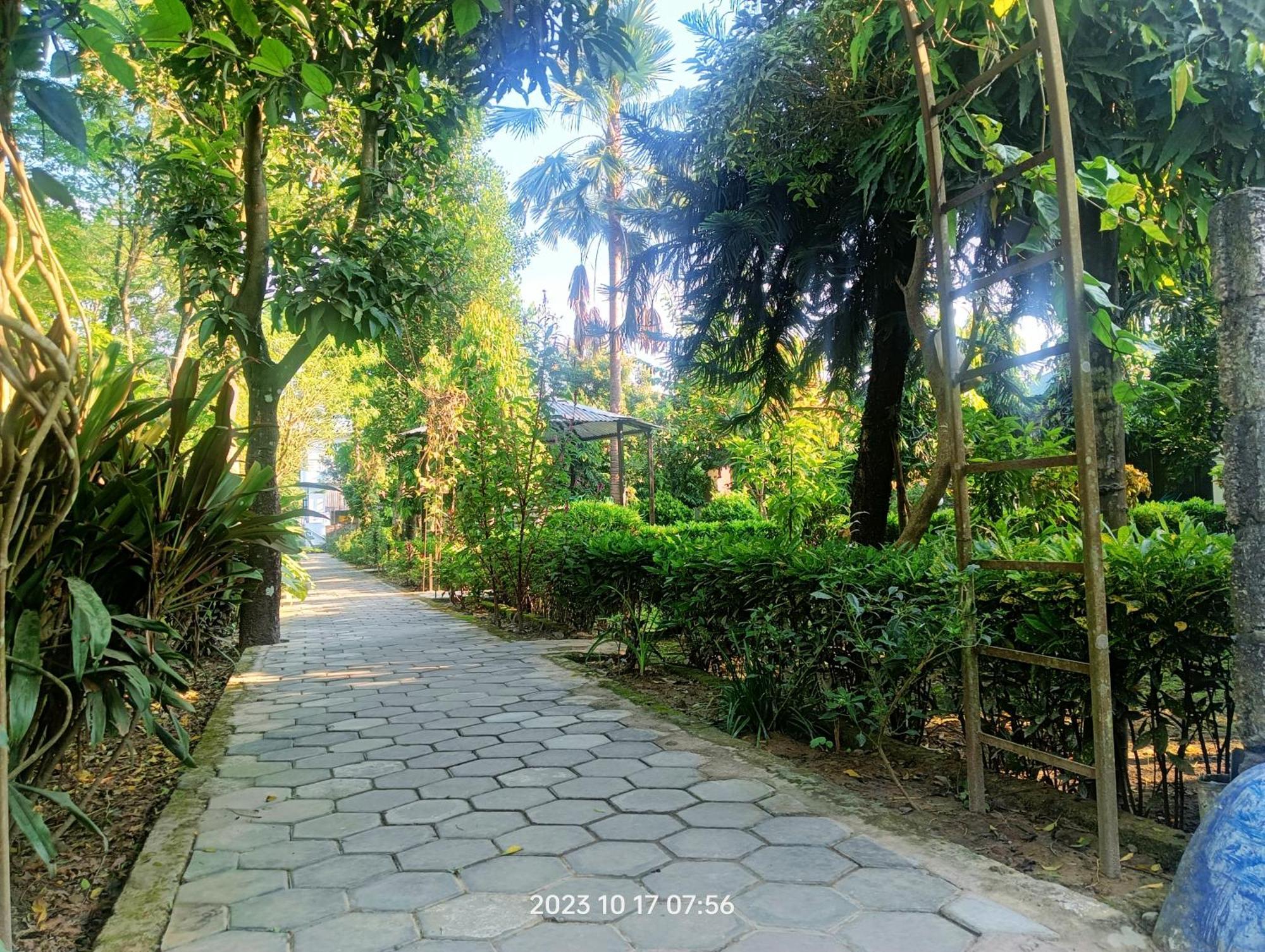 Hotel Butterfly - Peaceful Garden For Nature Lovers سوراها المظهر الخارجي الصورة