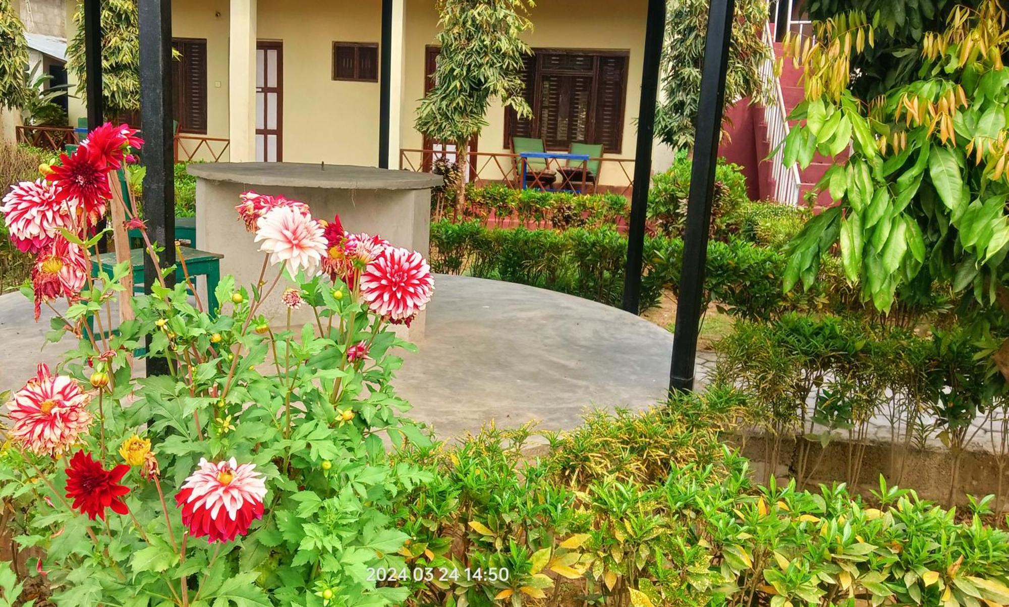 Hotel Butterfly - Peaceful Garden For Nature Lovers سوراها المظهر الخارجي الصورة