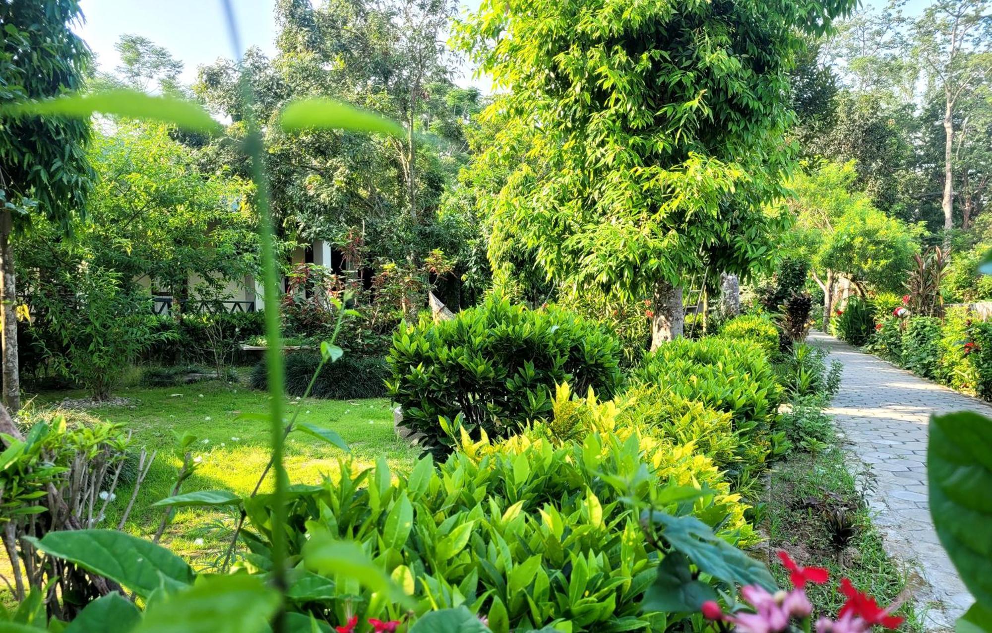 Hotel Butterfly - Peaceful Garden For Nature Lovers سوراها المظهر الخارجي الصورة